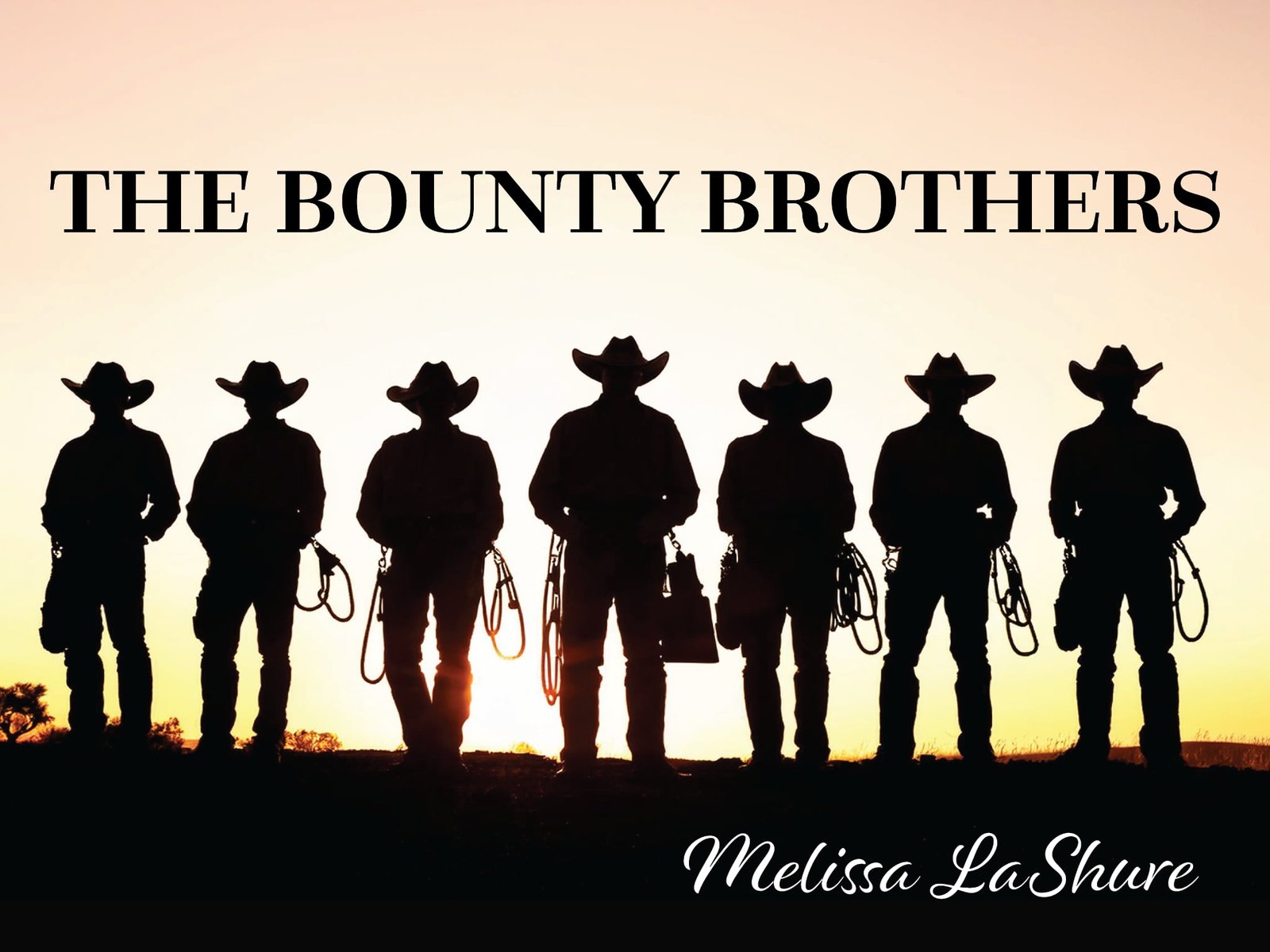 Bounty Brothers Banner Pic The Bounty Brothers by author Melissa LaShure